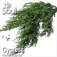 Aroma Soap Bar Cypress - 1kg