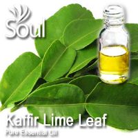 Pure Essential Oil Kaffir Lime Leaf - 50ml