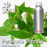Pure Essential Oil Persicaria Odorata - 500ml