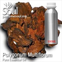 Pure Essential Oil Polygonum Multiflorum - 500ml