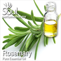 Pure Essential Oil Rosemary - 10ml