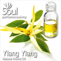 Natural Aroma Oil Ylang Ylang - 50ml